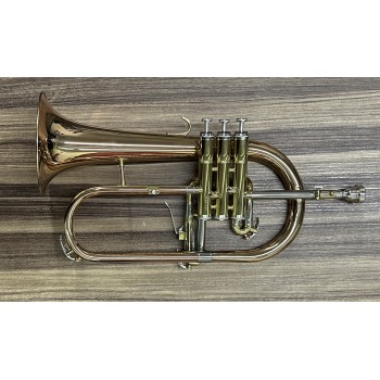 Flugelhorn Dasons Intermediário Rosè com Laqueado Si Bemol